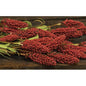 Millet Heather Bush Orange 24" (Pack of 2)