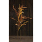 Mixed Fall Wheat & Grass Branch 30" (Pack of 4)
