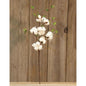 Cotton & Willow Leaves Spray 24" (Pack of 2)