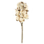 Teastain Cotton Bush  (Pack of 4)