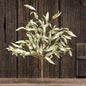 Flocked Herb Leaves Bush 24"  (Pack of 4)