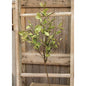 Sage Leaves & Twigs Spray 25"  (Pack of 4)