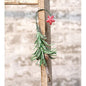 Snowy Shooting Star Mini Tree Ornament  (Pack of 4)