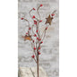 Red Pip  & Star Pick  12" (Pack of 4)