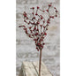 Pip Berry Pick Burgundy 12"  (Pack of 4)