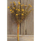 Mustard Fall Astilbe Bush 10.5"  (Pack of 4)