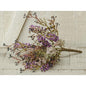 Wheat Eucalyptus Pick (Pack of 4)