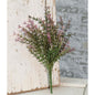 Lavender Asparagus Bush 13" (Pack of 4)