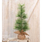 City Holiday Pine Tree 18" (Pack of 2)