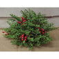 Cedar Berry Table Piece 11"