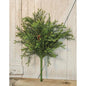 Sargent Spruce Bush w/Cones 26"