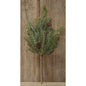 Frosted White Spruce Pick 16"  (Pack of 4)