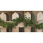 New England Boxwood Garland 6ft (Pack of 2)