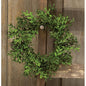 New England Boxwood Ring 4"/7" (Pack of 4)