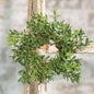New England Boxwood Candle Ring 2"/6" (Pack of 4)