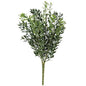 New England Boxwood Bush 11-1/2" (Pack of 4)