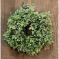 Icy Tiny Leaf Ring 1"  (Pack of 4)