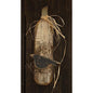 Skinny Lath Pumpkin w/Crow White