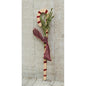 Candy Cane w/Greenery  (Pack of 4)