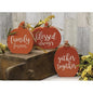 Chunky Reversible Pumpkin 3 Asstd. (Pack of 4)