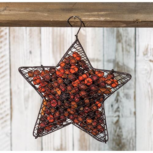 Wire Mesh Star w/Pumpkin Spice Potpourri 9"