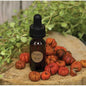 Refreshing Oil Pumpkin Spice (Pack of 4)
