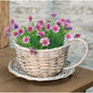 Gray Willow Cup & Saucer (Pack of 2)