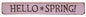 Hello Spring Engraved Block 12" (Pack of 4)