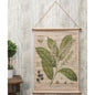 Prunus Lauro Botanical Canvas