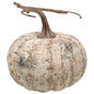 White Birch Pumpkin 6" (Pack of 2)