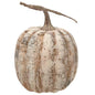 White Birch Pumpkin 8" (Pack of 2)