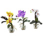 Mixed Orchid w/Cube Arrangements (Set of 3)