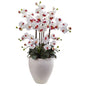 Phalaenopsis Orchid with White Planter