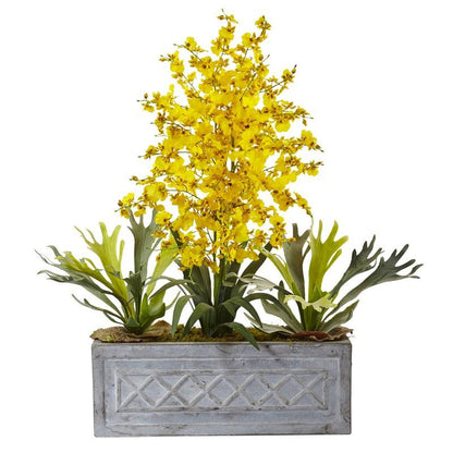 Dancing Lady and Staghorn in Stone Planter
