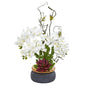 Phalaenopsis Orchid and Succulent Artificial Arrangement