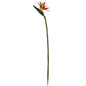 35’'Bird of Paradise Artificial Flower (Set of 4)
