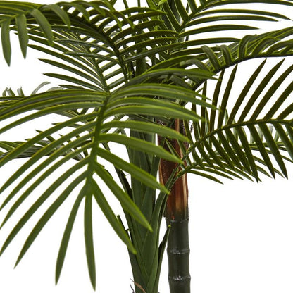 5.5'Double Robellini Palm Tree UV Resistant (Indoor/Outdoor)