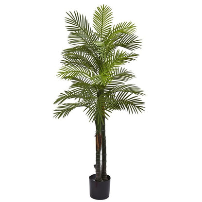 5.5'Double Robellini Palm Tree UV Resistant (Indoor/Outdoor)