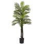 5.5'Double Robellini Palm Tree UV Resistant (Indoor/Outdoor)