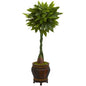 5'Money Artificial Tree in Decorative Planter (Real Touch)