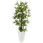 4.5'Bamboo Tree in White Tower Planter