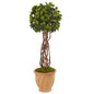 3'English Ivy Tree in Terracotta Planter UV Resistant (Indoor/Outdoor)