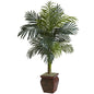 4.5'Golden Cane Palm w/Decorative Container