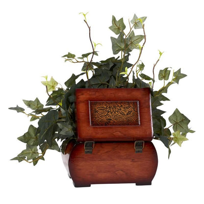 Puff Ivy w/Chest Silk Plant