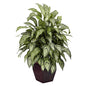 Silver Queen w/Decorative Planter Silk Plant