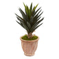 Agave Artificial Plant in Terra Cotta Planter