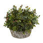 Eucalyptus Artificial Plant in Oak Planter
