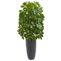 Schefflera Artificial Plant in Gray Planter (Real Touch)