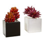 Agave and Spiky Succulent Artificial Plant in Vase (Set of 2)