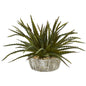 9" Aloe Succulent Artificial Plant in Weathered Oak Planter